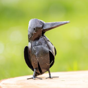 Twee IJsvogels
